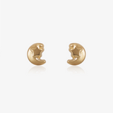 Moon and star earrings