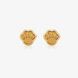 Pendientes huella