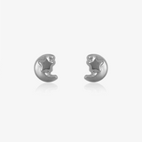 Moon and star earrings