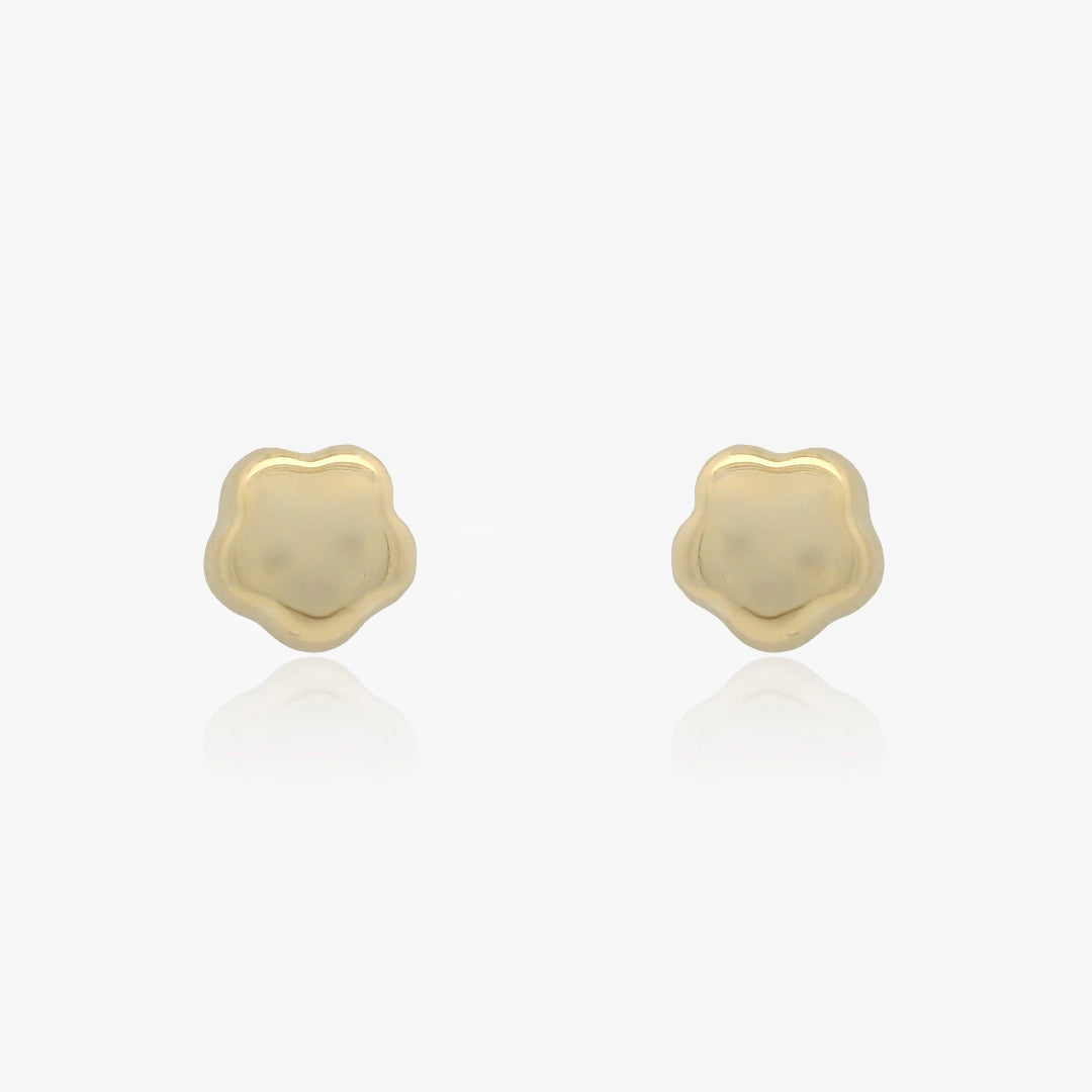 Pendientes Flor Brillo