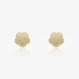 Pendientes Flor Brillo
