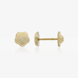 Pendientes Flor Brillo
