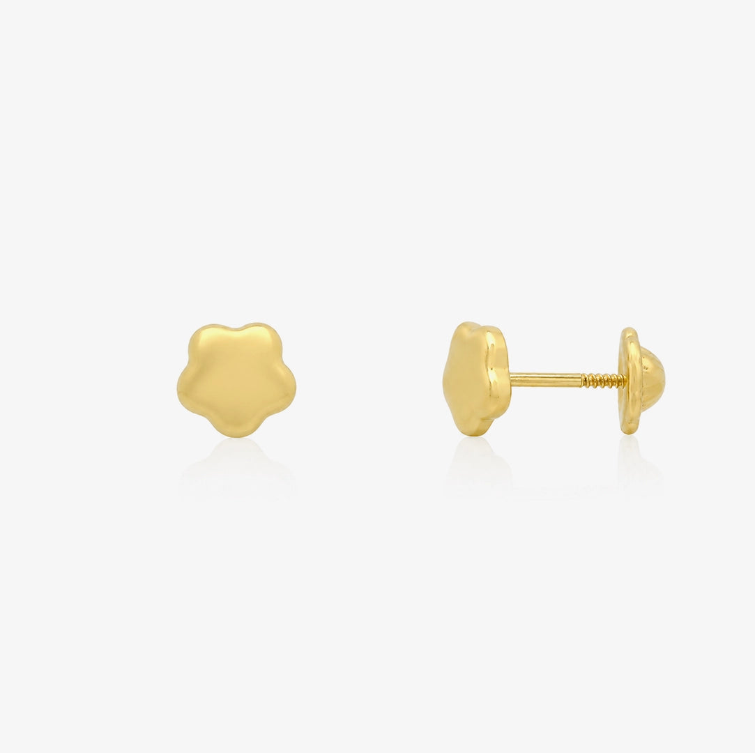 Pendientes Flor Brillo