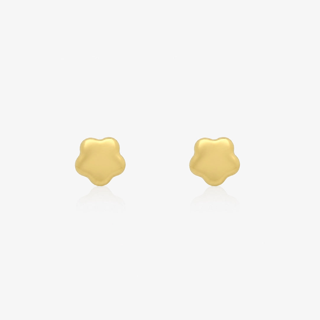 Pendientes Flor Brillo