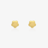 Pendientes Flor Brillo