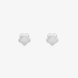 Pendientes Flor Brillo