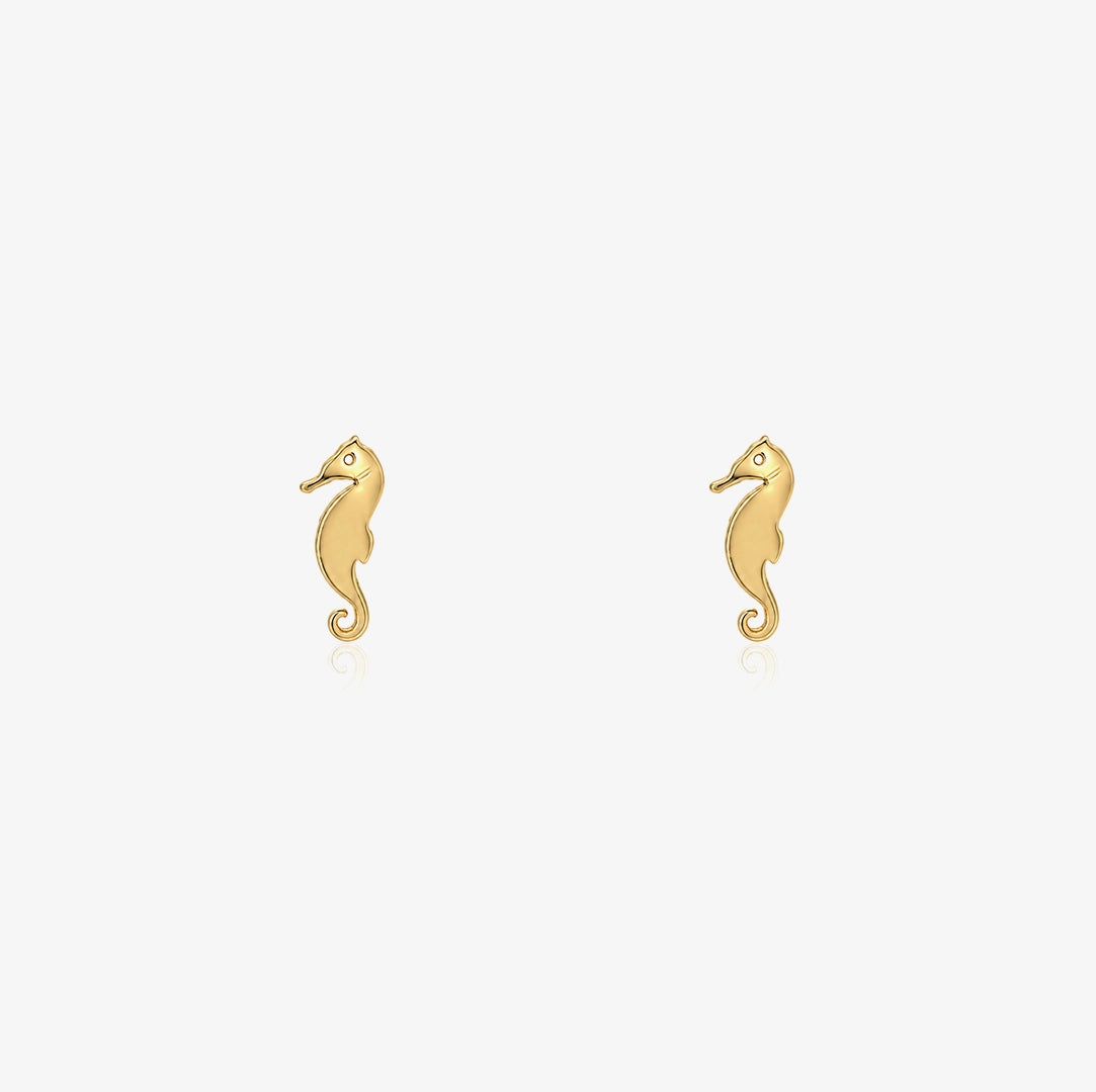 Seahorse Earrings