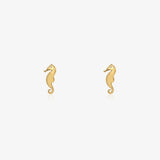 Seahorse Earrings