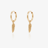 Aros Pluma