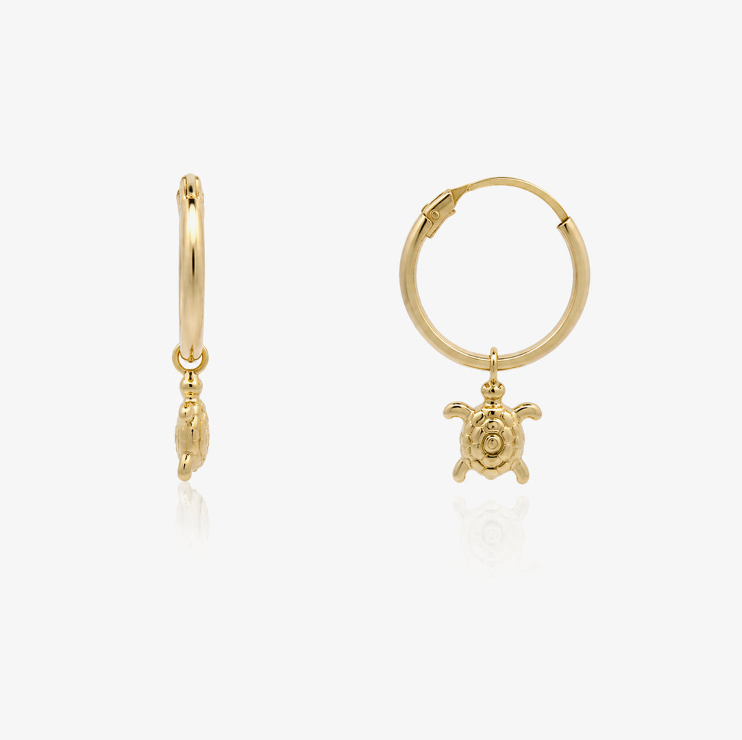 Turtle Hoops