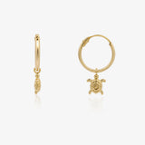 Turtle Hoops