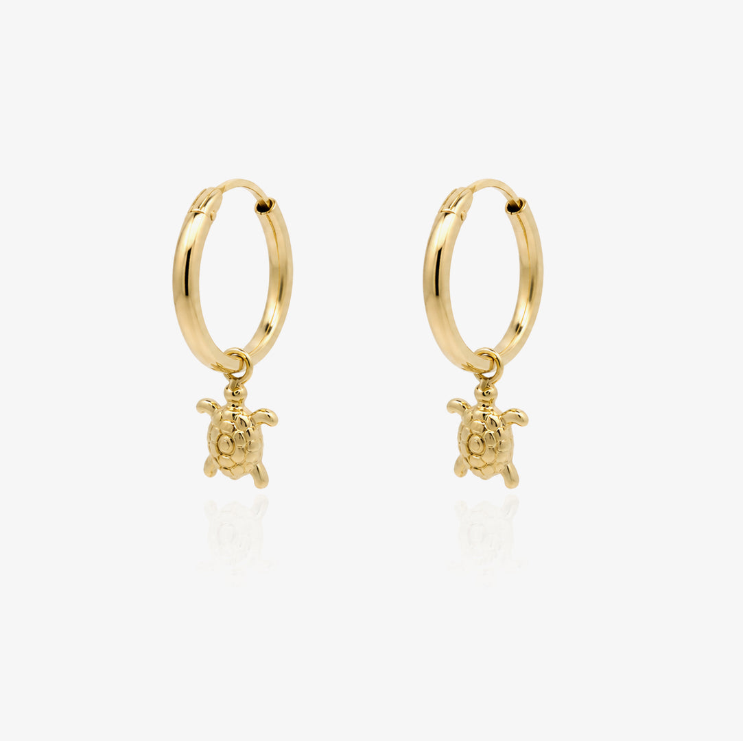 Turtle Hoops