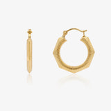 Pendientes Aro Forma