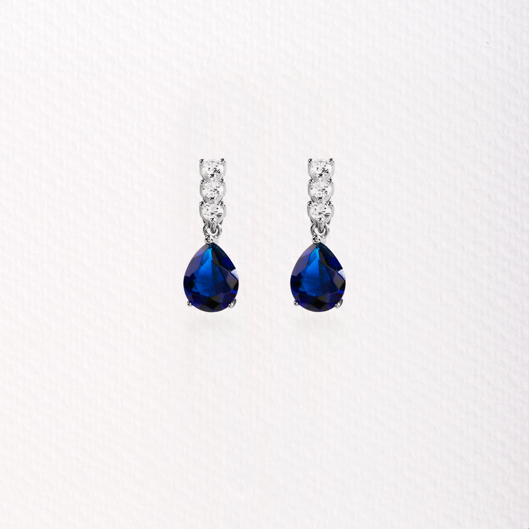 Long Teardrop Earrings