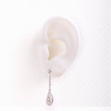 Long Teardrop Earrings