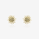 Image Product