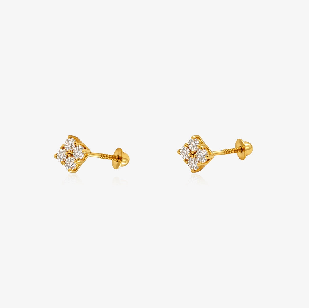 Stone Earrings