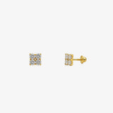 Stone Earrings