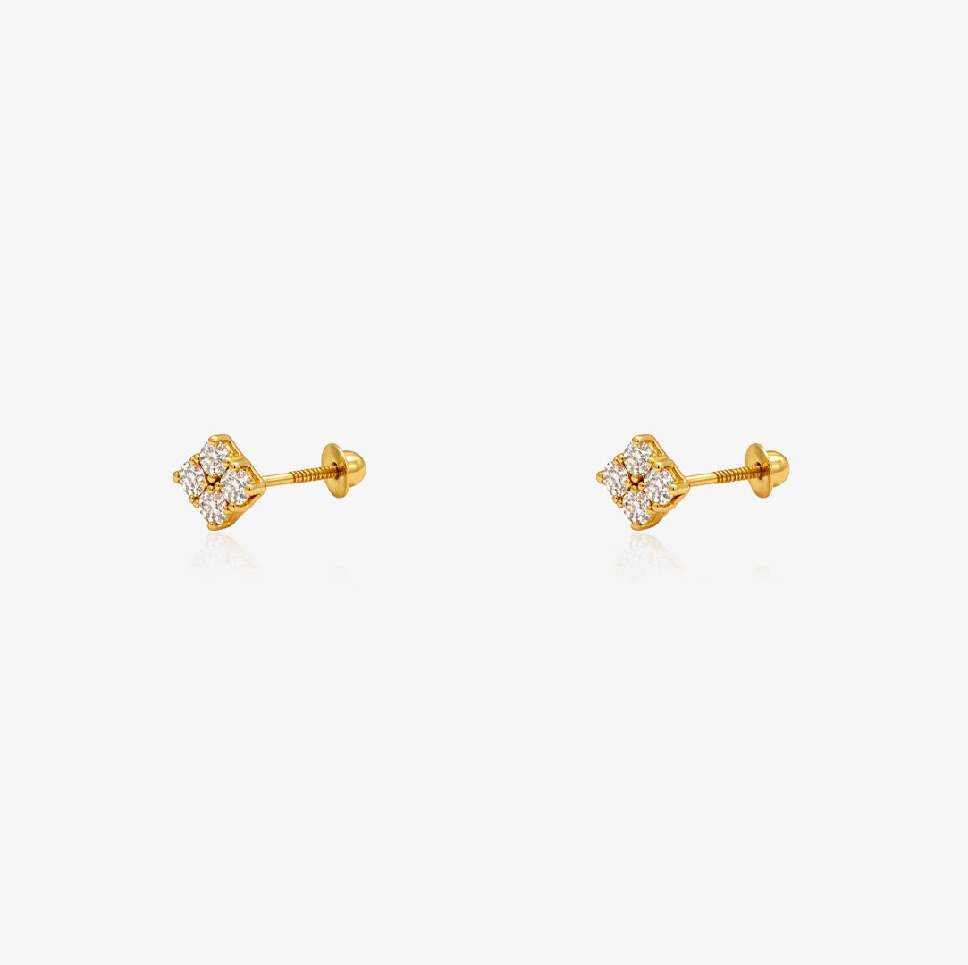 Stone Earrings