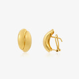 Pendientes Omega