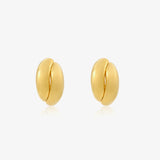 Pendientes Omega