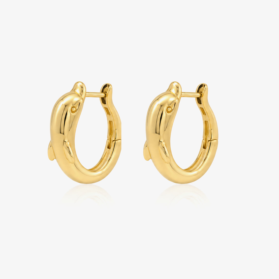 Pendientes Aro Delfin