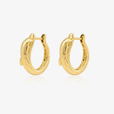 Pendientes Aro Delfin
