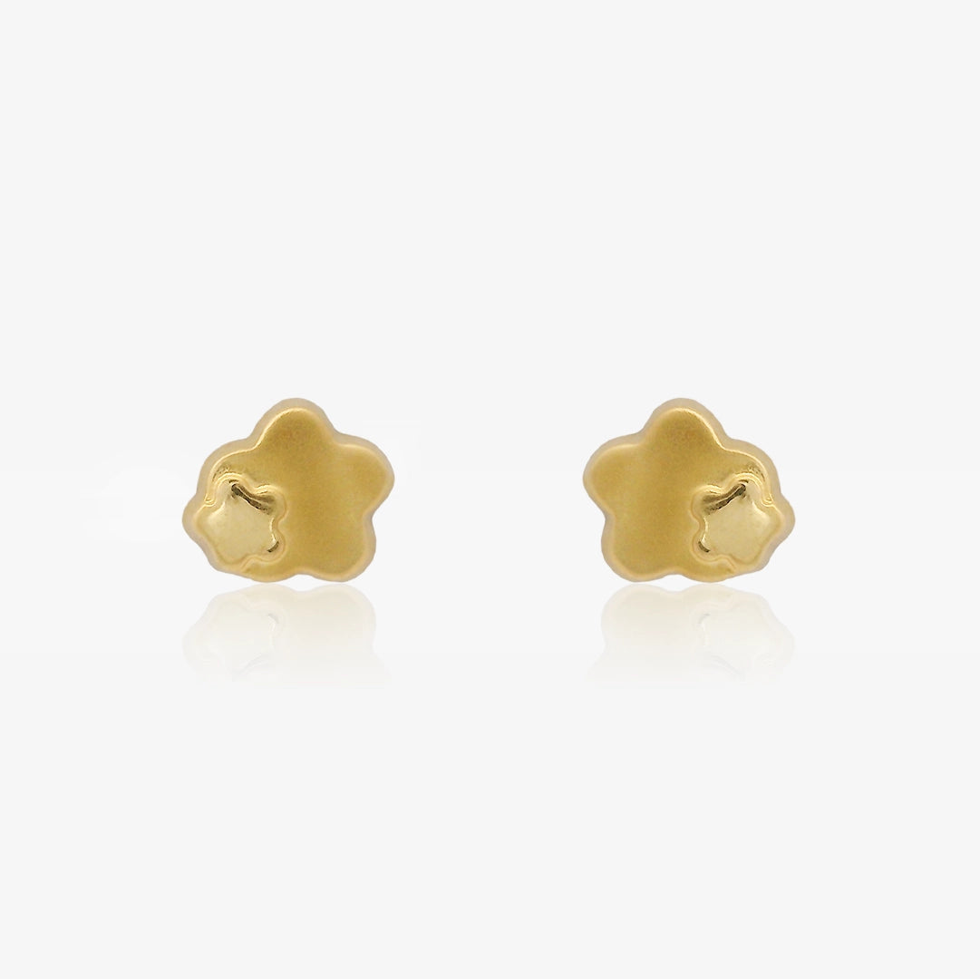 Pendientes FLOR MATIZADA