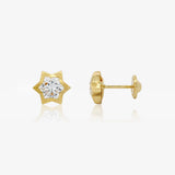 Pendientes ESTRELLA