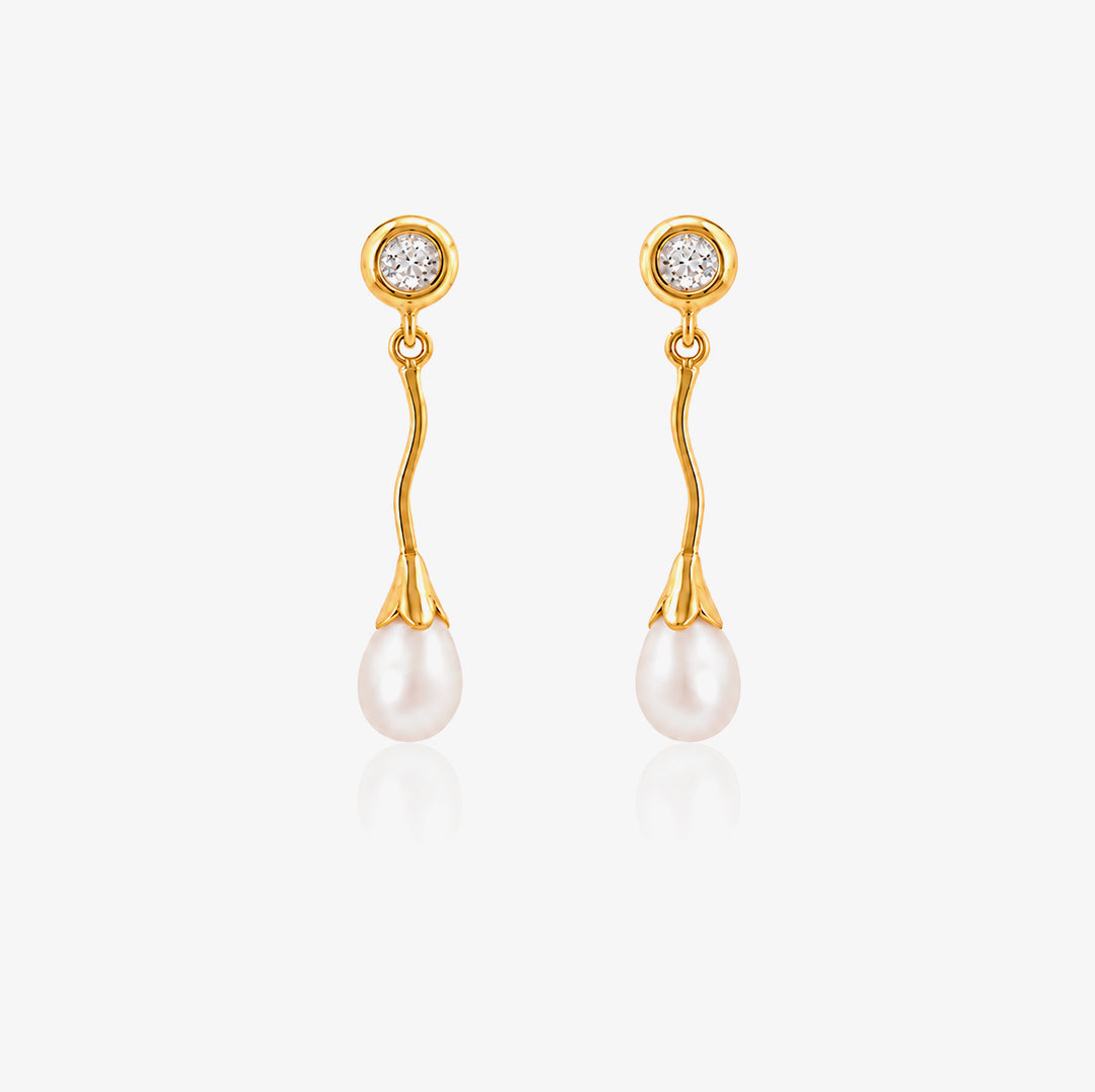 Long teardrop earrings